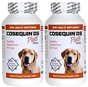 Cosequin DS Plus MSM Joint Health Supplement for Dogs 360 Count Chewable Tablets Twin Pack (2 x 180 tablets)