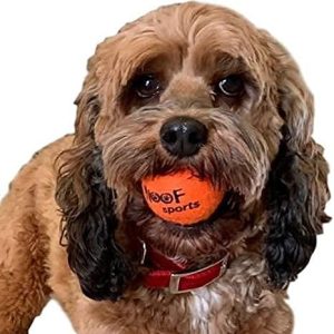 small TENNIS BALLS for Dogs by WOOF SPORTS (1.9″) – 12 Orange, Premium and Strong Mini Tennis Balls for Small Dogs and Puppies. Includes Mesh Carrying Bag