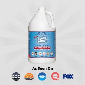 Whip-It Odor Bully Instant Odor Neutralizer Spray – Odor Eliminator for Home and Car