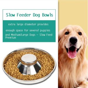 Puppy Bowls 2 Puppy Dish Dog Bowl Puppy Weaning Pets Feeder Bowl…