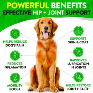 Hemp Hip and Joint Supplement for Dogs – Dog Joint Pain Relief – Glucosamine for Dogs, Chondroitin, Hemp Oil, MSM – Advanced Dog Pain Relief Health – Mobility Support – Made in USA – 170 Soft Chews