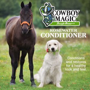 Cowboy Magic Rosewater Shampoo and Rosewater Conditioner Bundle