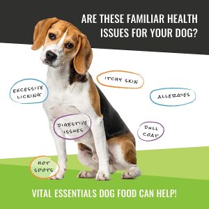 Vital Essentials – Dog GF Freeze-Dried Minnows Treats – 2.5 oz
