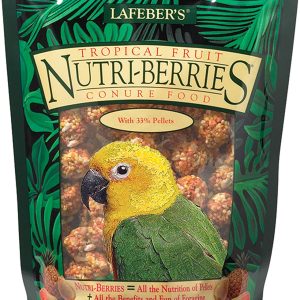 Lafeber’s Gourmet Tropical Fruit Nutri-Berries for Conures 10-Ounce Bag