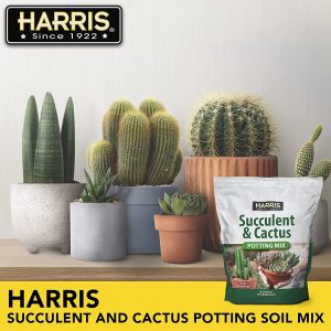Harris Premium Succulent and Cactus Potting Soil Mix, Fast Draining with Added Nutrients, 4 Quarts