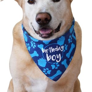 hecho Dog Birthday Bandana – Boy