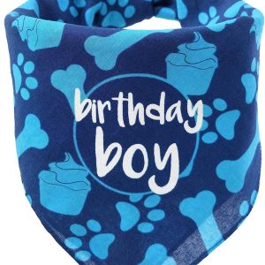 hecho Dog Birthday Bandana – Boy