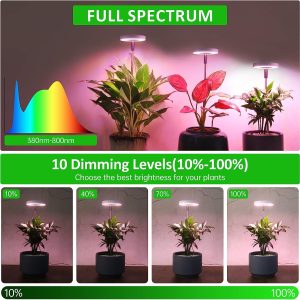 ROMSTO Grow Lights for Indoor Plants, LED Full Spectrum Plant Light for Indoor Plants, Height Adjustable Grow Light with 10 Dimmable Brightness, 8/12/16H On/Off Timer, Ideal for Small Plants, 1 Pack