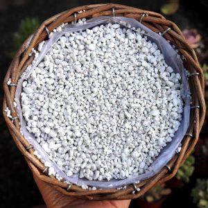 Organic Perlite for All Plants, All Natural Horticultural Soil Additive Conditioner Mix, Improve Drainage and Ventilation, Help Root Growth (2 Quarts)
