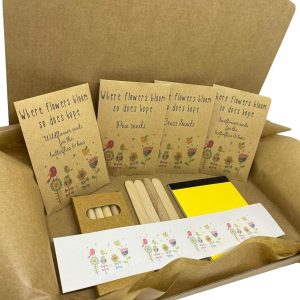 Children’s Survival Garden KIT – Keep The Kids Busy! Blooming Marvellous Gifts Set to Keep Your Children Occupied During The School Closures & Isolation Present Gardening Set Birthday Present